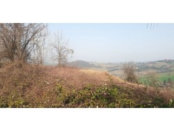 Terreno edificabile in vendita a Brozolo (TO)